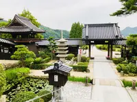 瑠璃光寺の写真・動画_image_223254