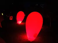 ときわ公園の写真・動画_image_223276