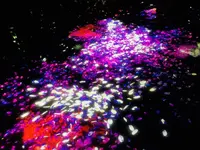 ときわ公園の写真・動画_image_223280