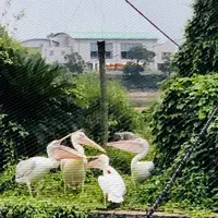 ときわ公園の写真・動画_image_223281