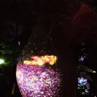 ときわ公園の写真・動画_image_223282