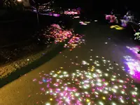 ときわ公園の写真・動画_image_223288