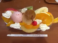 ニューブラジルの写真・動画_image_224280
