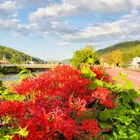 いきいき公園の写真・動画_image_224309