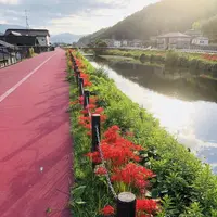 いきいき公園の写真・動画_image_224312