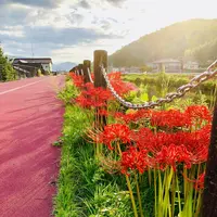 いきいき公園の写真・動画_image_224314