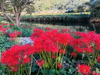 いきいき公園の写真・動画_image_224315