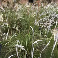 箱根ガラスの森美術館の写真・動画_image_224338