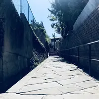 大浦天主堂の写真・動画_image_224347