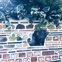 祈りの丘絵本美術館の写真・動画_image_224348