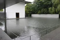 鈴木大拙館の写真・動画_image_224456