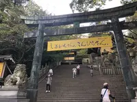 金刀比羅宮（こんぴらさん）の写真・動画_image_224559