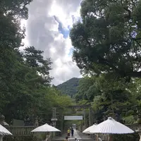 金刀比羅宮（こんぴらさん）の写真・動画_image_224564