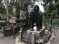 金刀比羅宮（こんぴらさん）の写真・動画_image_224571