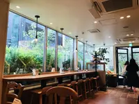 EVERYTHING SALAD 青山の写真・動画_image_224594