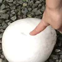 瑞泉寺の写真・動画_image_224636