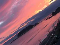 アマルフィイ・デラ・セーラの写真・動画_image_224647