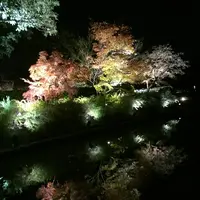 東寺（教王護国寺）の写真・動画_image_224656