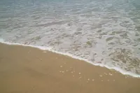 ミーケビーチの写真・動画_image_224844