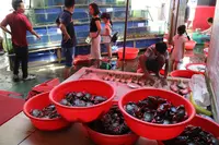 Be Anhの写真・動画_image_224854