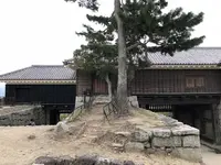 松山城の写真・動画_image_224973