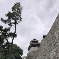 松山城の写真・動画_image_224976