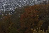 藻岩山の写真・動画_image_225358