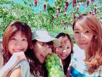 岩田フルーツ農園の写真・動画_image_225798