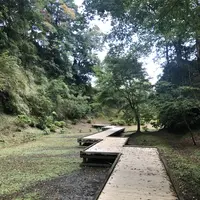 濃溝の滝の写真・動画_image_226136