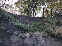久留里城の写真・動画_image_226178