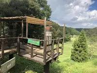 ターザニア ロングジップスライドの写真・動画_image_226190