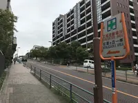 伊勢山皇大神宮の写真・動画_image_226292