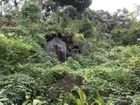 伊勢山皇大神宮の写真・動画_image_226299