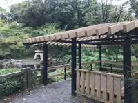 伊勢山皇大神宮の写真・動画_image_226301