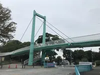 伊勢山皇大神宮の写真・動画_image_226341