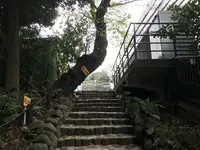 伊勢山皇大神宮の写真・動画_image_226349