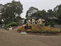 伊勢山皇大神宮の写真・動画_image_226351