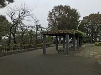 伊勢山皇大神宮の写真・動画_image_226364