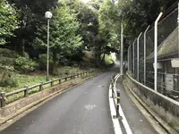 伊勢山皇大神宮の写真・動画_image_226366