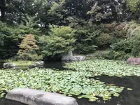 伊勢山皇大神宮の写真・動画_image_226370