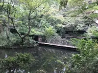 伊勢山皇大神宮の写真・動画_image_226375