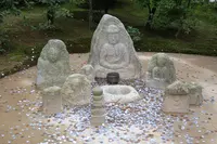 金閣寺（鹿苑寺）の写真・動画_image_226475