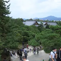 元離宮 二条城の写真・動画_image_226488