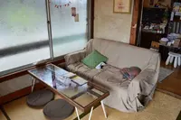 直島カフェ コンニチハの写真・動画_image_226506