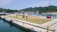 赤かぼちゃの写真・動画_image_226515