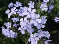 地中美術館の写真・動画_image_226970