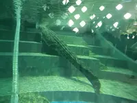 ＮＩＦＲＥＬの写真・動画_image_227140