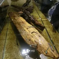 ＮＩＦＲＥＬの写真・動画_image_227141