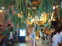 iriyaplascafe@カスタム倉庫の写真・動画_image_227161