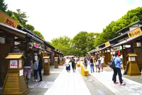 金シャチ横丁（義直ゾーン）の写真・動画_image_227249